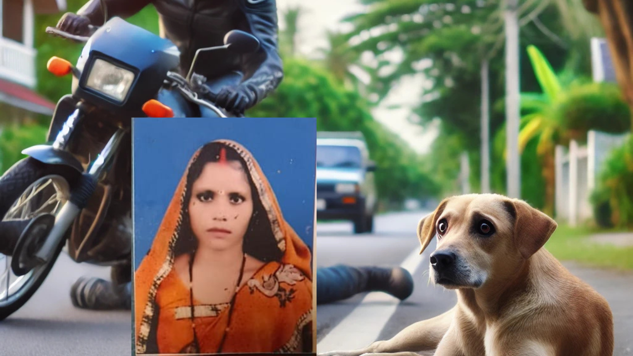 You are currently viewing सियार से टकराकर बाइक पलटी, मां की मौत, बेटा और मौसी घायल।